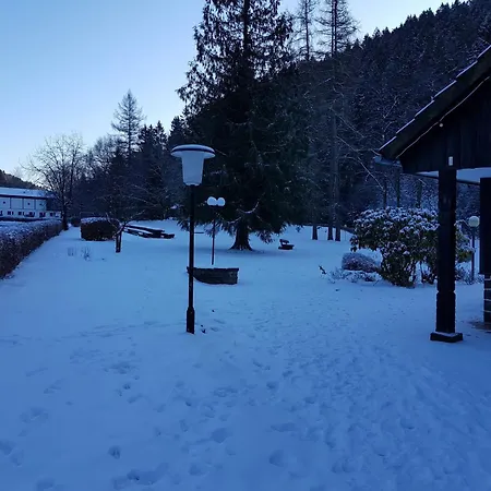In The Upper Harz In فيلديمان