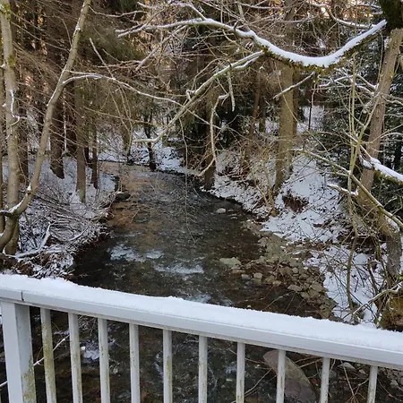 Apartment In The Upper Harz In *
