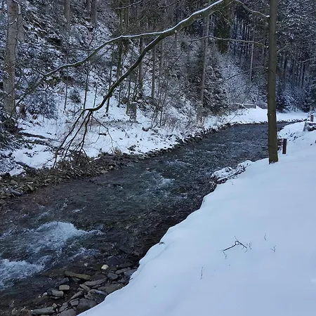In The Upper Harz In *