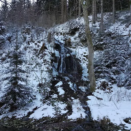 In The Upper Harz In شقة