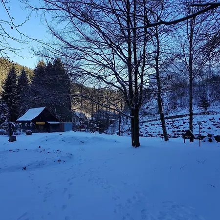 شقة In The Upper Harz In *