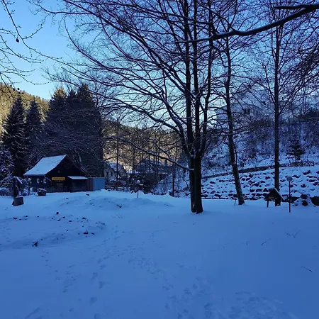 Apartment In The Upper Harz In *