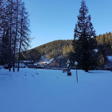 In The Upper Harz In Apartment Wildemann