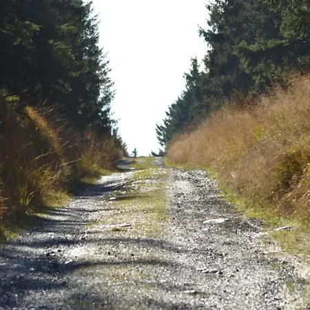 In The Upper Harz In