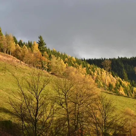 In The Upper Harz In شقة *