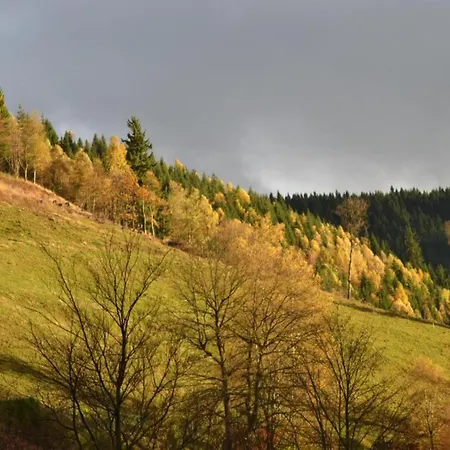 In The Upper Harz In Apartment *
