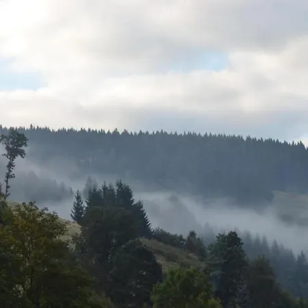 In The Upper Harz In شقة فيلديمان