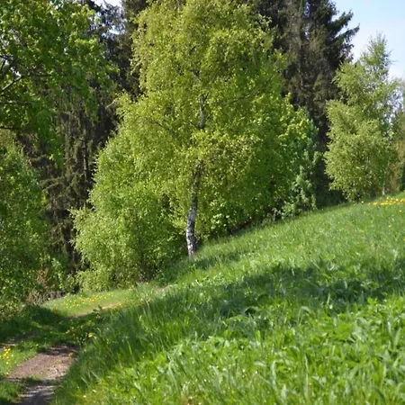 In The Upper Harz In