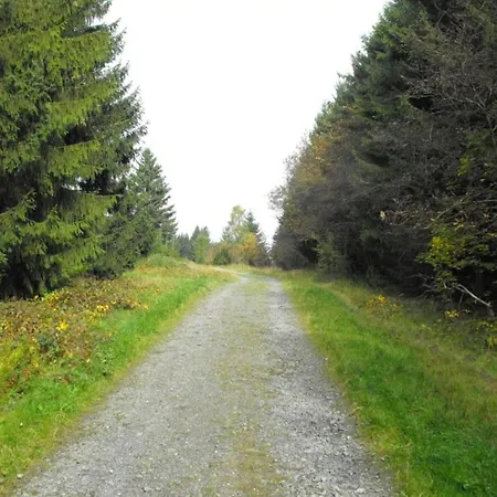In The Upper Harz In