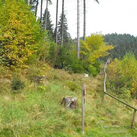 In The Upper Harz In Apartment *